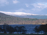 Loch Kinord in Winter