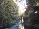 Glen Gairn gorge 