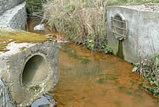 Elrick Outfall