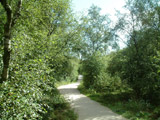 pathway through Arnhall Moss 