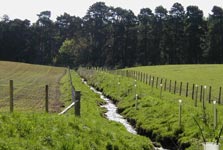 Buffer strips along the tributaries of the Tarland Burn