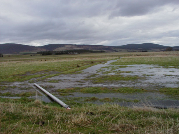 Tarland WwTP irrigation plots during 2004 